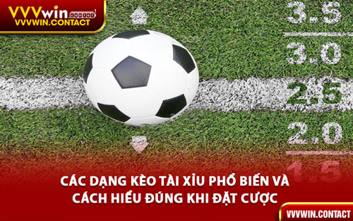 Các Dạng Kèo Tài Xỉu Phổ Biến và Cách Hiểu Đúng Khi Đặt Cược